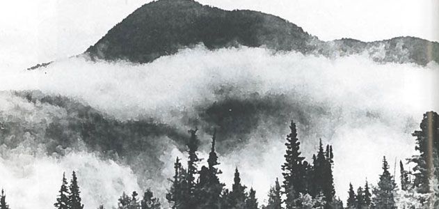 История семьи Лыковых