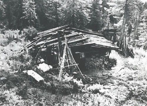 История семьи Лыковых