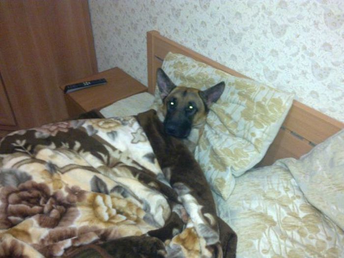Прикольные картинки