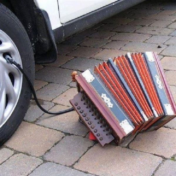 Прикольные картинки