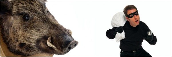 6 психических расстройств, каждое из которых случается только в одном месте на Земле...