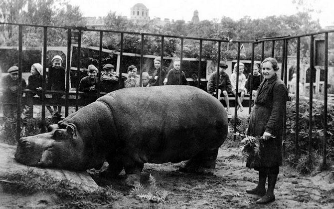 Как выживали в блокадном Ленинграде Как выживали в блокадном Ленинграде