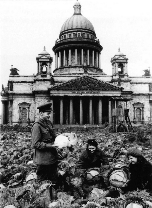 Как выживали в блокадном Ленинграде Как выживали в блокадном Ленинграде