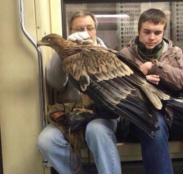 Прикольные картинки