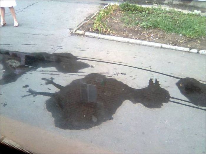 Прикольные картинки