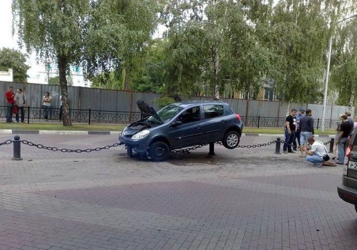Прикольные картинки