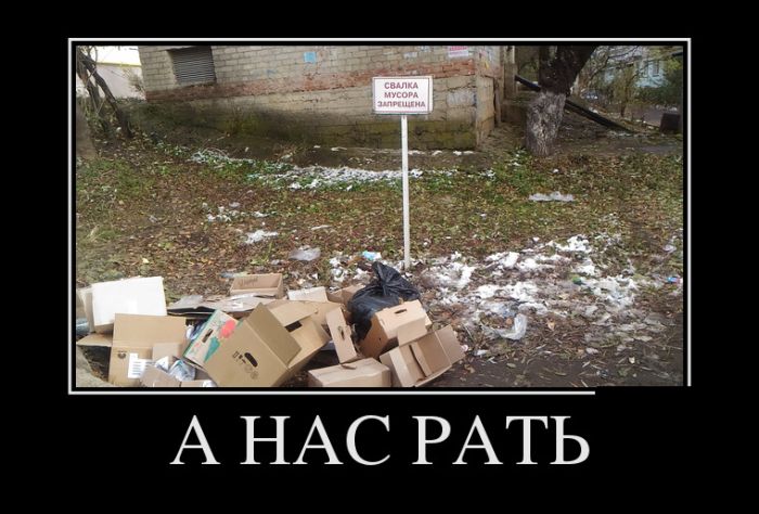 Демотиваторы
