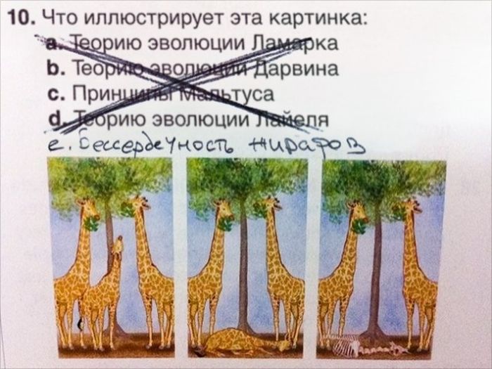 Креативные ответы на задания от студентов и учеников