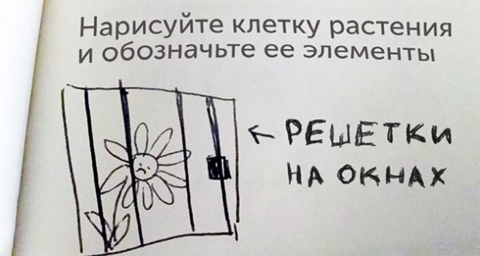 Креативные ответы на задания от студентов и учеников