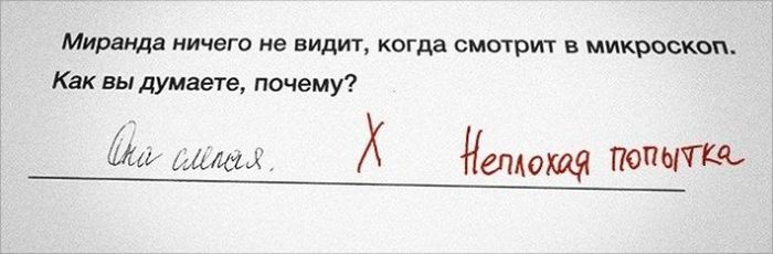 Креативные ответы на задания от студентов и учеников