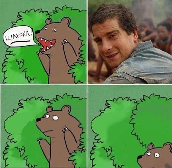 Прикольные картинки