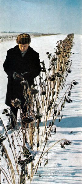 СССР глазами журнала National Geographic