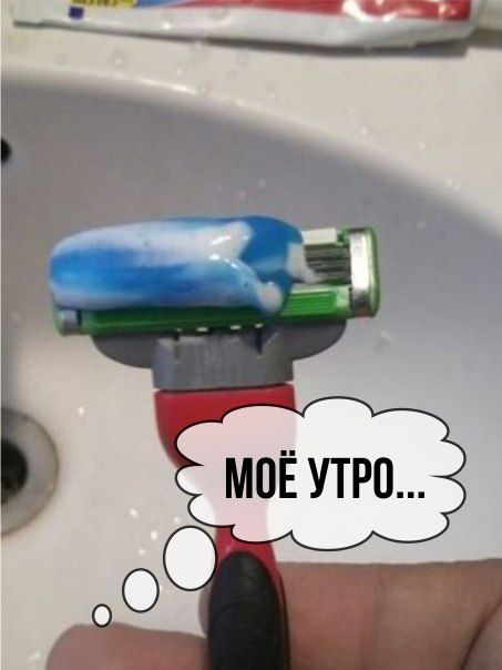 Прикольные картинки