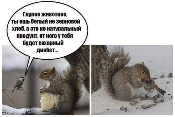 Прикольные картинки
