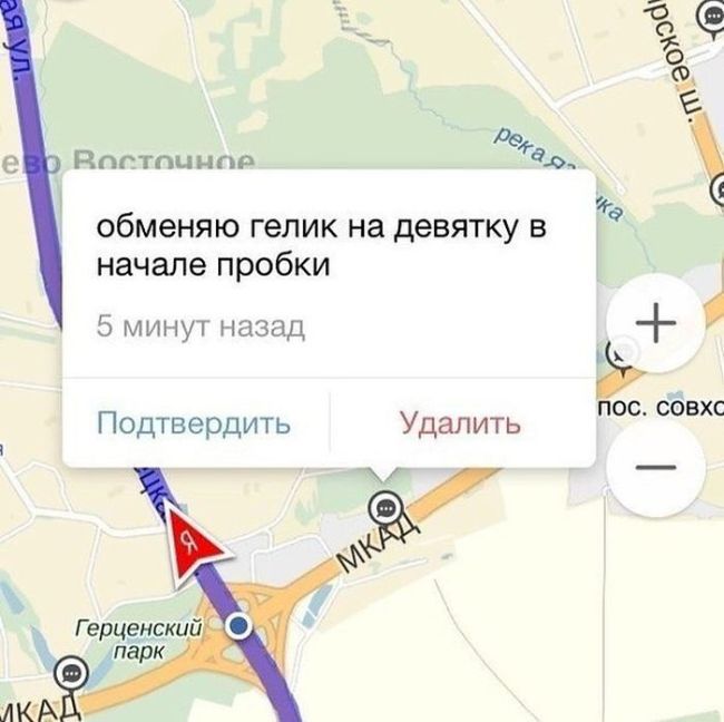 Прикольные картинки