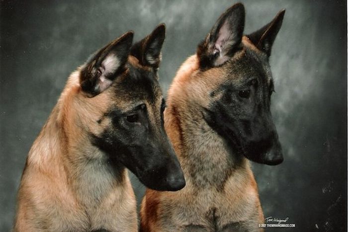 Короткие и любопытные факты