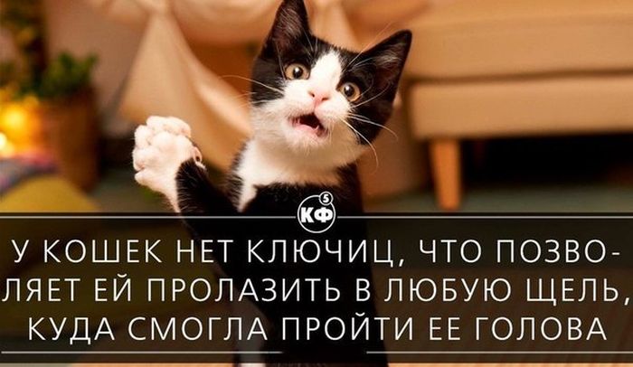 Короткие и любопытные факты