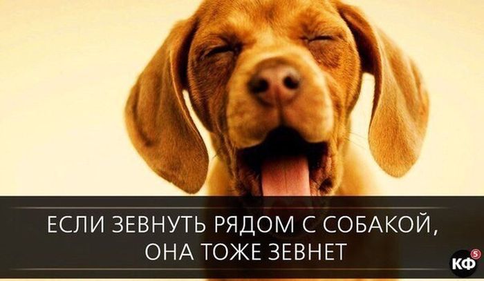 Короткие и любопытные факты