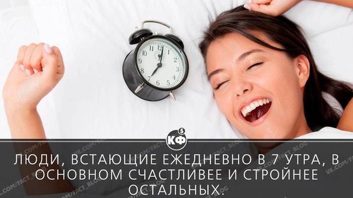 Короткие и любопытные факты