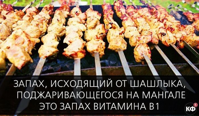 Короткие и любопытные факты