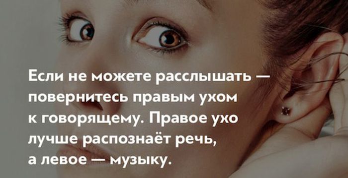 Короткие и любопытные факты