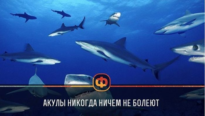Короткие и любопытные факты
