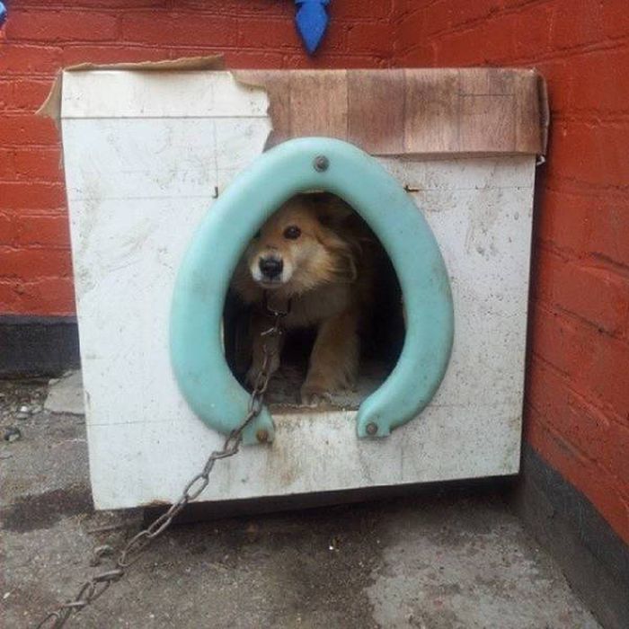 Смотрите, я все починил!