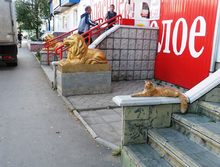 Фотографии, сделанные в нужный момент, которые доказывают, что время решает всё