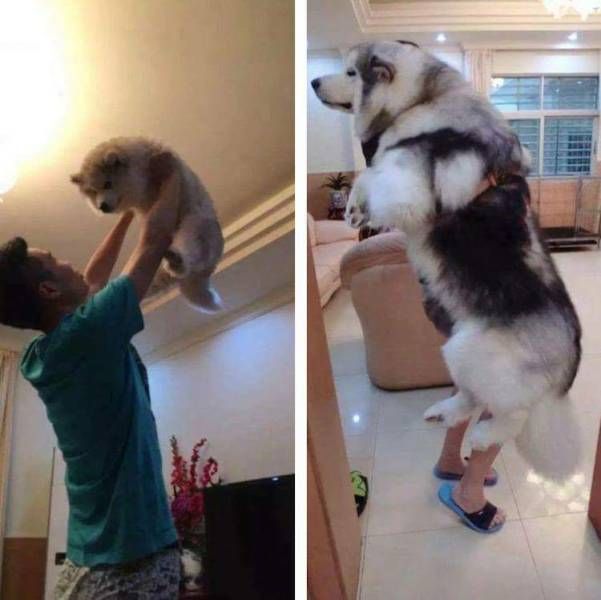 Прикольные картинки