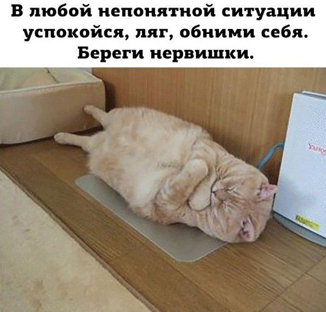 Прикольные картинки