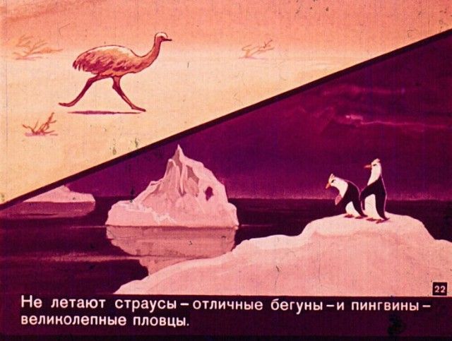 Диафильм вместо учебника по географии