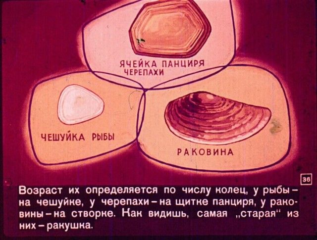 Диафильм вместо учебника по географии