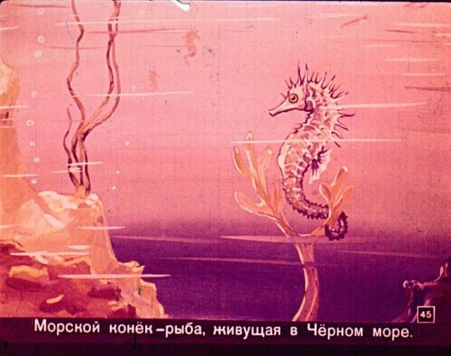 Диафильм вместо учебника по географии