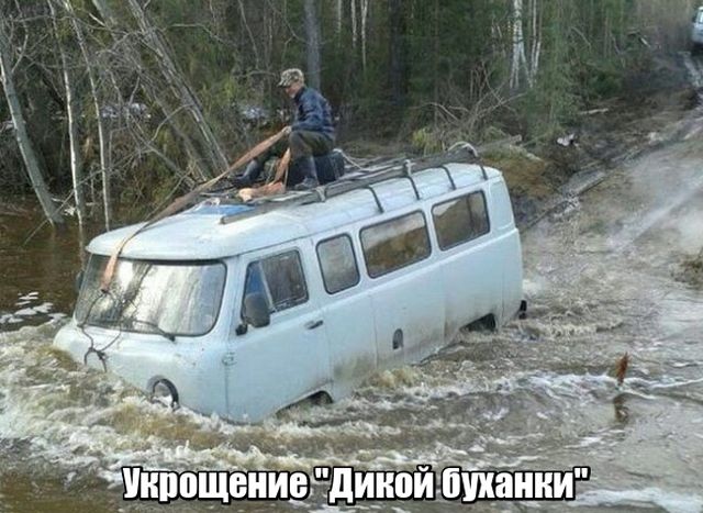 Прикольные картинки