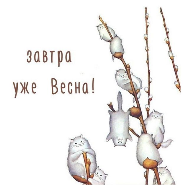 Прикольные картинки