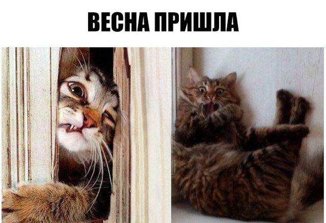 Весенний бунт