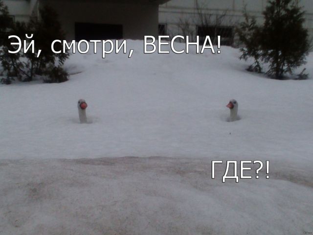 Весенний бунт
