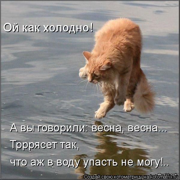 Весенний бунт