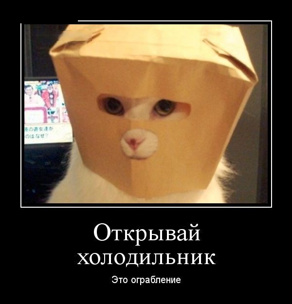 Демотиваторы