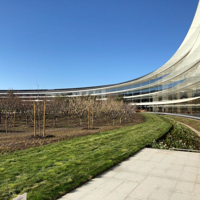 Запретная территория Apple Запретная территория Apple