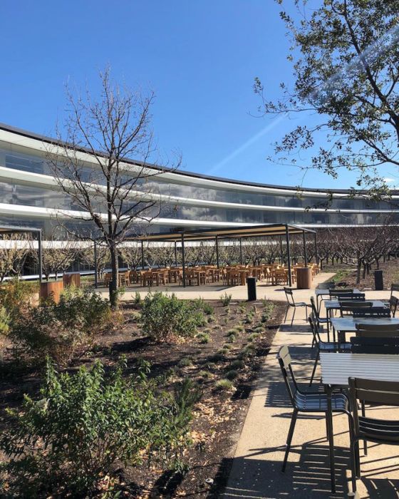 Запретная территория Apple Запретная территория Apple