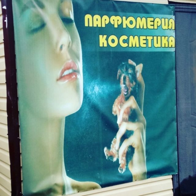 27 фотографий, которые приводят в ступор 27 фотографий, которые приводят в ступор