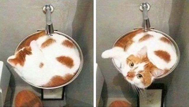 27 фотографий, которые приводят в ступор 27 фотографий, которые приводят в ступор