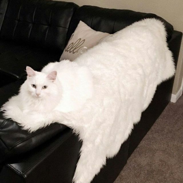 27 фотографий, которые приводят в ступор 27 фотографий, которые приводят в ступор