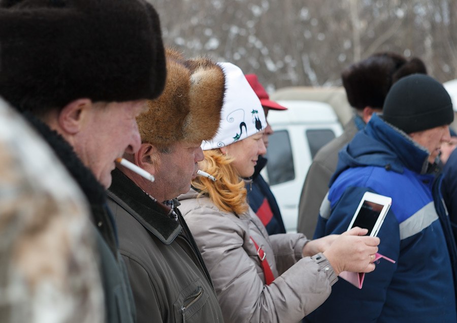 Гусиные бои Гусиные бои