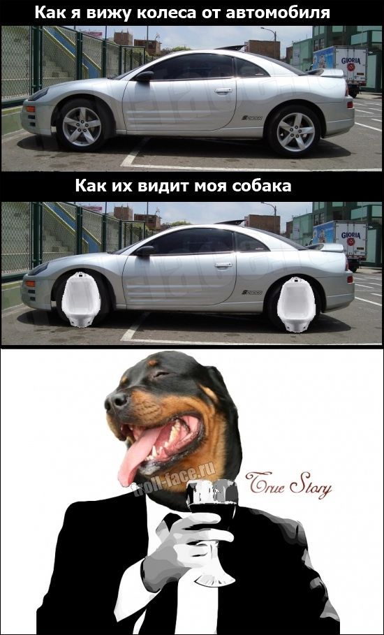 Забавные комиксы