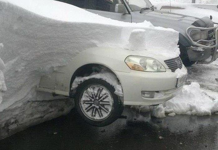 Прикольные картинки