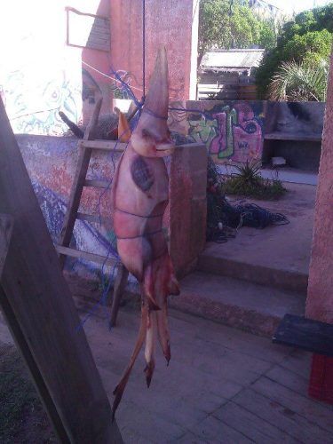 Мексиканский демон