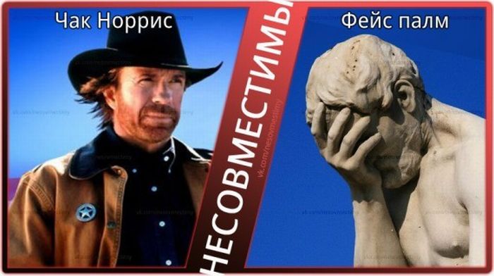 Вещи, которые несовместимы (15 картинок)