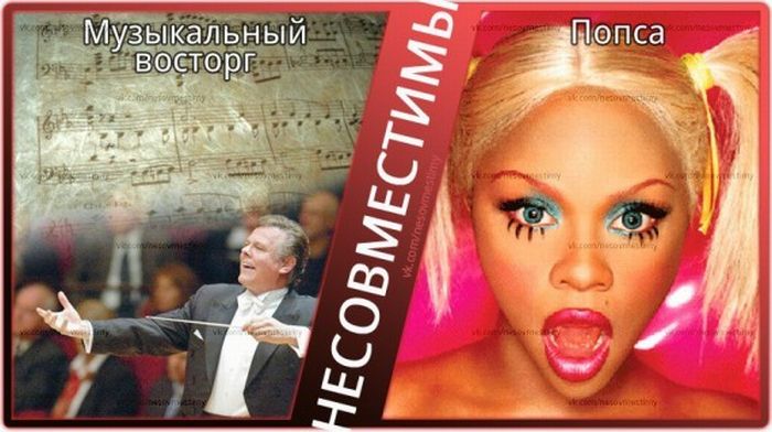 Вещи, которые несовместимы (15 картинок)